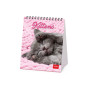CALENDARIO 2027 da tavolo KITTENS legami PER SCRIVANIA cm12x14,5