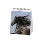 CALENDARIO 2027 da tavolo WILD HORSES legami PER SCRIVANIA cm12x14,5