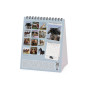 CALENDARIO 2027 da tavolo WILD HORSES legami PER SCRIVANIA cm12x14,5