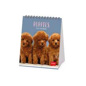 CALENDARIO 2027 da tavolo PUPPIES legami PER SCRIVANIA cm12x14,5