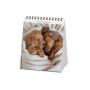 CALENDARIO 2027 da tavolo PUPPIES legami PER SCRIVANIA cm12x14,5