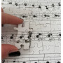 PUZZLE DELLE FORMICHE fabio vettori MUSICA made in italy 1080 PEZZI eco friendly IN BIANCO E NERO