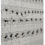 PUZZLE DELLE FORMICHE fabio vettori MUSICA made in italy 1080 PEZZI eco friendly IN BIANCO E NERO