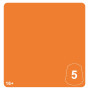 CHOTEC ORANGE 5 colore WARHAMMER TONE PRO paint BOCCETTA DA 12 ML età 16+