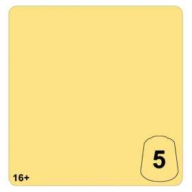 HAWKSHROUND YELLOW 5 colore WARHAMMER TONE PRO paint BOCCETTA DA 12 ML età 16+