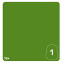 PLAGUE TOAD VENOM 1 colore WARHAMMER TONE PRO paint BOCCETTA DA 12 ML età 16+