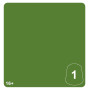KRULEBOYZ GREEN 1 colore WARHAMMER TONE PRO paint BOCCETTA DA 12 ML età 16+