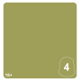 KRULEBOYZ GREEN 4 colore WARHAMMER TONE PRO paint BOCCETTA DA 12 ML età 16+