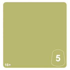KRULEBOYZ GREEN 5 colore WARHAMMER TONE PRO paint BOCCETTA DA 12 ML età 16+
