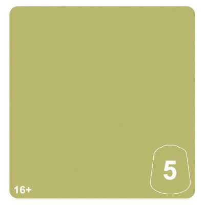 KRULEBOYZ GREEN 5 colore WARHAMMER TONE PRO paint BOCCETTA DA 12 ML età 16+