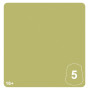 KRULEBOYZ GREEN 5 colore WARHAMMER TONE PRO paint BOCCETTA DA 12 ML età 16+