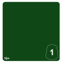 LUSTRIA GREEN 1 colore WARHAMMER TONE PRO paint BOCCETTA DA 12 ML età 16+