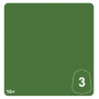 KASRKIN GREEN 3 colore WARHAMMER TONE PRO paint BOCCETTA DA 12 ML età 16+