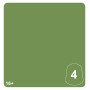 KASRKIN GREEN 4 colore WARHAMMER TONE PRO paint BOCCETTA DA 12 ML età 16+