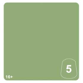 KASRKIN GREEN 5 colore WARHAMMER TONE PRO paint BOCCETTA DA 12 ML età 16+