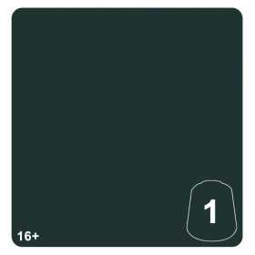 GREEN MORKSHROOM 1 colore WARHAMMER TONE PRO paint BOCCETTA DA 12 ML età 16+