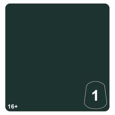 GREEN MORKSHROOM 1 colore WARHAMMER TONE PRO paint BOCCETTA DA 12 ML età 16+