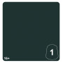 GREEN MORKSHROOM 1 colore WARHAMMER TONE PRO paint BOCCETTA DA 12 ML età 16+