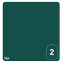 GREEN MORKSHROOM 2 colore WARHAMMER TONE PRO paint BOCCETTA DA 12 ML età 16+
