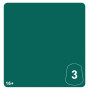 GREEN MORKSHROOM 3 colore WARHAMMER TONE PRO paint BOCCETTA DA 12 ML età 16+