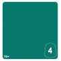GREEN MORKSHROOM 4 colore WARHAMMER TONE PRO paint BOCCETTA DA 12 ML età 16+