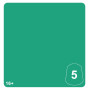 GREEN MORKSHROOM 5 colore WARHAMMER TONE PRO paint BOCCETTA DA 12 ML età 16+