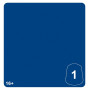 SCINARI BLUE 1 colore WARHAMMER TONE PRO paint BOCCETTA DA 12 ML età 16+