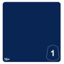 BLUE GORKSHROOM 1 colore WARHAMMER TONE PRO paint BOCCETTA DA 12 ML età 16+