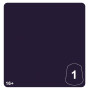 ENRAPTURESS DUSK 1 colore WARHAMMER TONE PRO paint BOCCETTA DA 12 ML età 16+