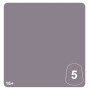 ENRAPTURESS DUSK 5 colore WARHAMMER TONE PRO paint BOCCETTA DA 12 ML età 16+