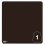 CARTHALOS SKIN 1 colore WARHAMMER TONE PRO paint BOCCETTA DA 12 ML età 16+
