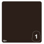 CARTHALOS SKIN 1 colore WARHAMMER TONE PRO paint BOCCETTA DA 12 ML età 16+
