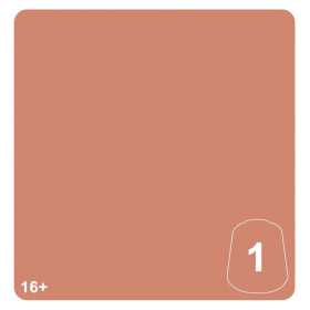 CELESTINE SKIN 1 colore WARHAMMER TONE PRO paint BOCCETTA DA 12 ML età 16+
