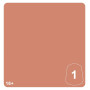 CELESTINE SKIN 1 colore WARHAMMER TONE PRO paint BOCCETTA DA 12 ML età 16+