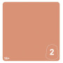CELESTINE SKIN 2 colore WARHAMMER TONE PRO paint BOCCETTA DA 12 ML età 16+