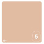 CELESTINE SKIN 5 colore WARHAMMER TONE PRO paint BOCCETTA DA 12 ML età 16+