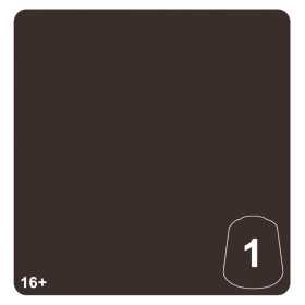 GNARLWOOD 1 colore WARHAMMER TONE PRO paint BOCCETTA DA 12 ML età 16+