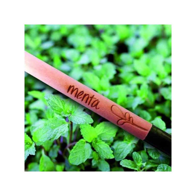 Sprout World Matite | Thank You Edition | Matite piantabili con semi di fiori | Regalo sostenibile per dire grazie | Confezione da 5 | Legno ecologico
