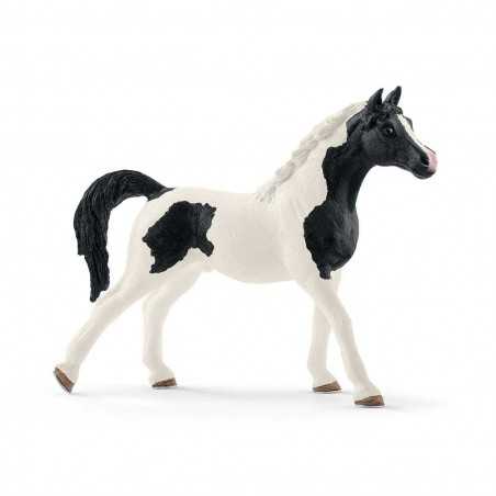 STALLONE ARABO PINTO Schleich CAVALLO animali 13840 miniature in resina HORSE CLUB età 3+