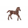 PULEDRO PUROSANGUE INGLESE cavalli in resina SCHLEICH miniature 13857 Farm World FOAL età 3+