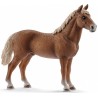 STALLONE MORGAN animali in resina SCHLEICH miniature 13869 cavalli horse club