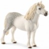 STALLONE WELSH PONY animali in resina SCHLEICH miniature 13871 cavalli horse club