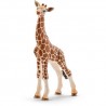 GIRAFFA CUCCIOLO 2016 animali in resina SCHLEICH miniature 14751 Wild Life GIRAFFE CALF età 3+ Schleich - 1