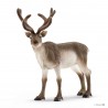 RENNA reindeer WILD LIFE schleich 14837 miniatura ANIMALI SELVAGGI età 3+ Schleich - 1
