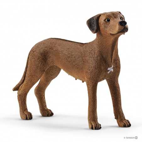 RHODESIAN RIDGEBACK cane dog FARM WORLD schleich 13895 miniatura ANIMALI DELLA FATTORIA età 3+ Schleich - 1