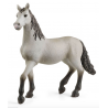 PULEDRO DI PURA RAZZA SPAGNOLA young horse CAVALLI in resina HORSE CLUB schleich 13924 età 4+ Schleich - 1