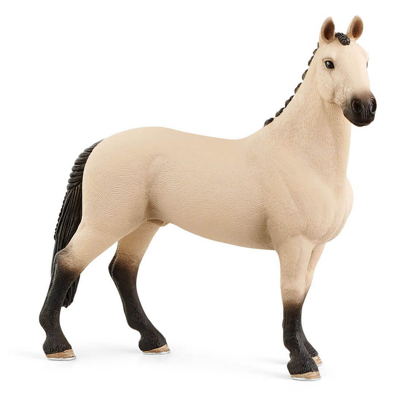 Schleich Horse Club - Hannoverian Foal, Red Dun main image 1
