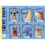 TOP DOGS gioco di carte RAPIDITA' E PAROLE djeco CANI sillabe DJ05099 età 8+ Djeco - 1