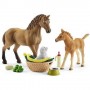 SARAH CHE CURA I CUCCIOLI animali in resina SCHLEICH miniature 42432 HORSE CLUB età 5+ Schleich - 2