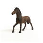STALLONE OLDENBURG cavalli SCHLEICH miniatura HORSE CLUB in resina 13946 età 5+ Schleich - 4
